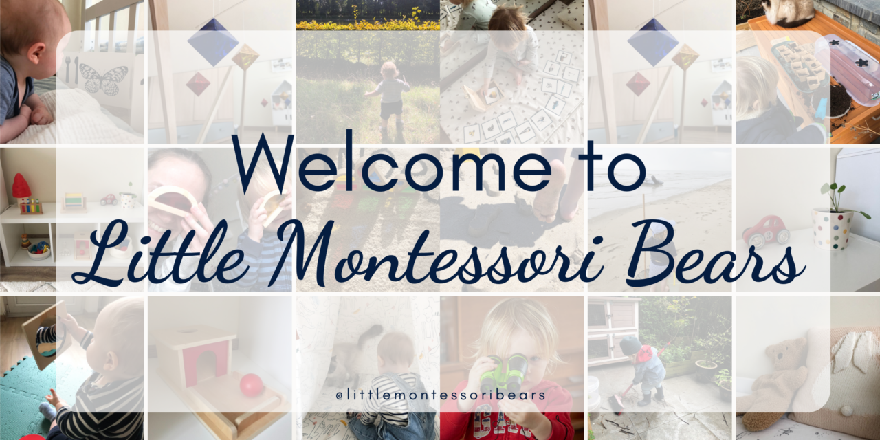 Welcome to Little Montessori Bears!