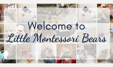Welcome to Little Montessori Bears!