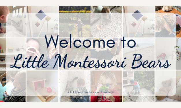 Welcome to Little Montessori Bears!