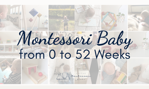 Introducing: Montessori Baby from 0 to 52 Weeks