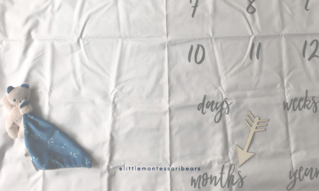 Montessori Baby from 0 to 52 Weeks: Week 4