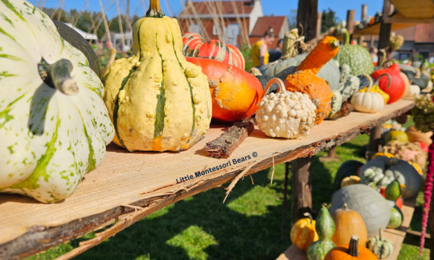 3 Easy & Fun Fall Activities for Toddlers