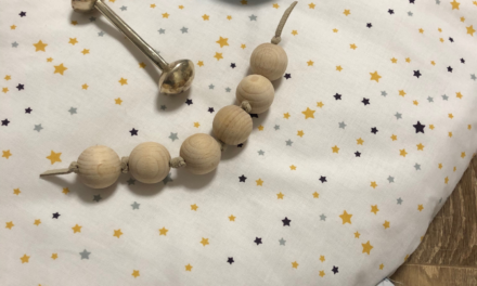 The Montessori Topponcino