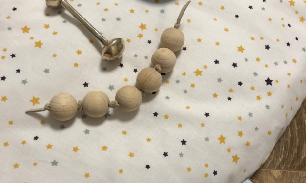 The Montessori Topponcino