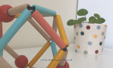 Montessori Baby from 0 to 52 Weeks: Week 6