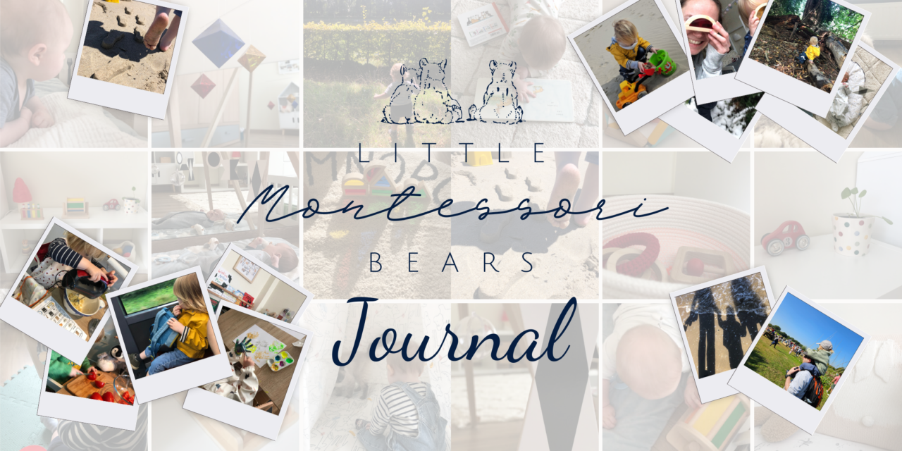 January 2025 Journal