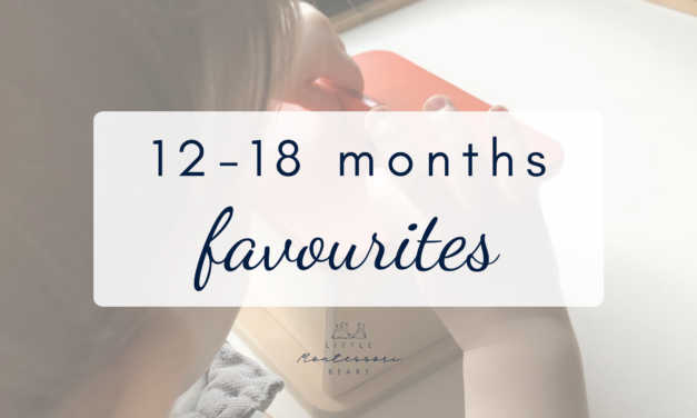 12-18 Months Baby Favourites